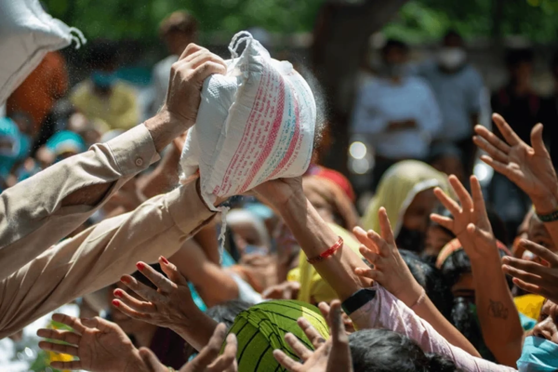 new-delhi-indiajune-5-2021-600nw-1988515739 new-delhi-indiajune-5-2021-600nw-1988515739